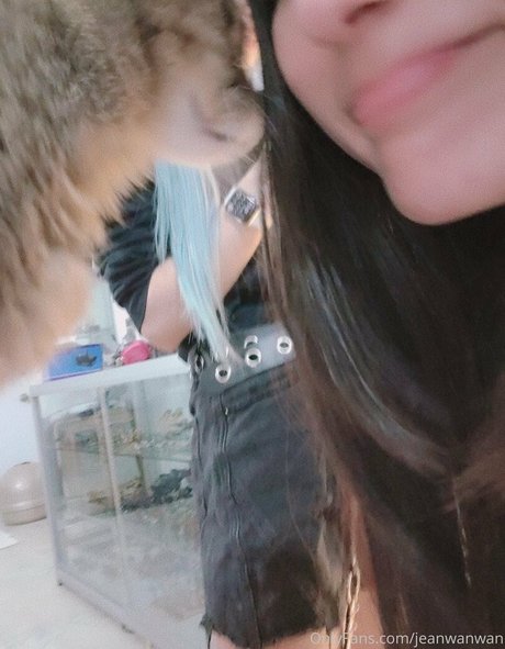 jeanwanwanfree haut de star du porno collection