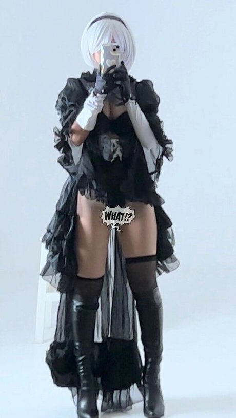 Chippu modèle meilleur img