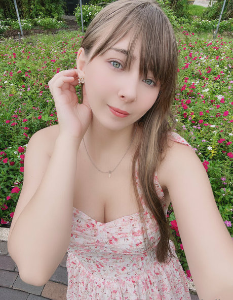 ribaibu nus étoiles image