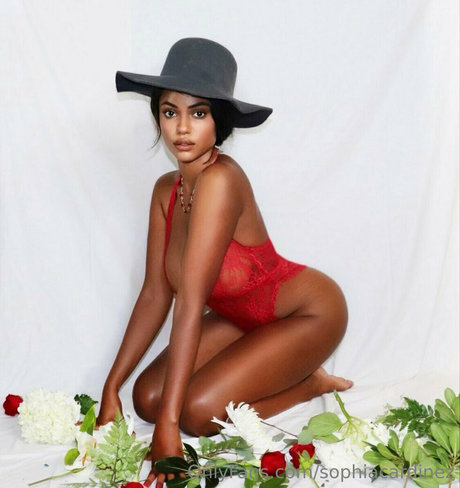 sophiacardinez jolie étoile img