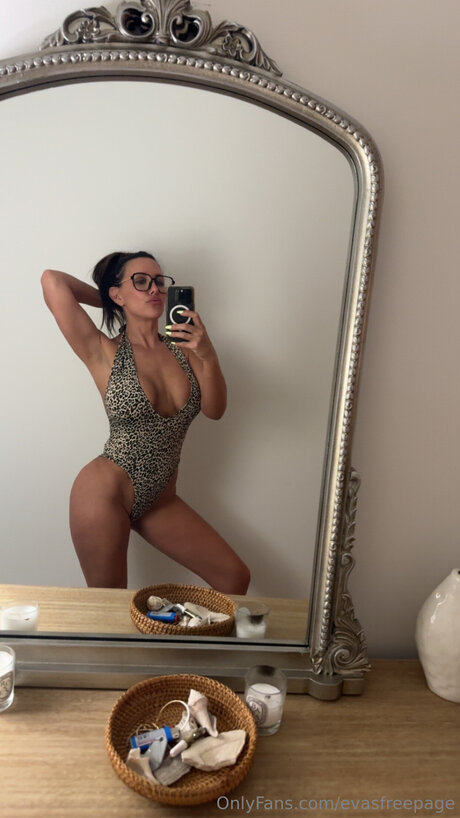 Evasfreepage modèle parfait archive