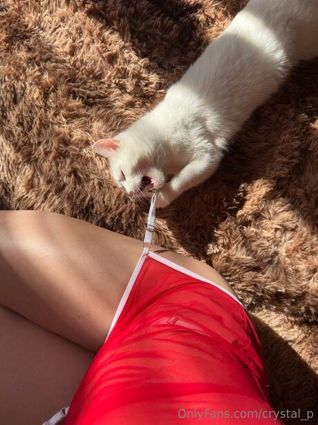 Crystal P art de star du porno photos