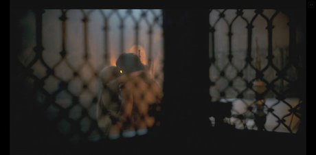 Milly Alcock actrice chaude photo