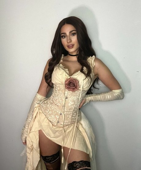 Palmbee Fotoaufnahmen