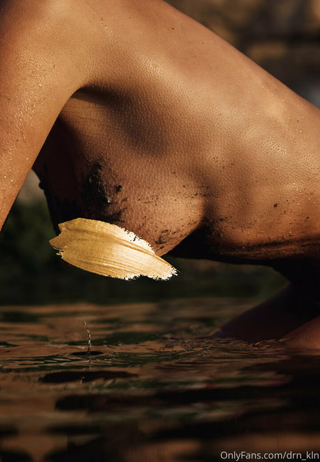 lavalexi vip étoile de haute qualité image