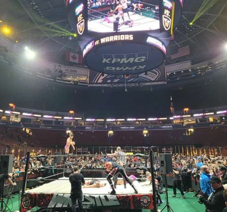 Trish Stratus haut modèle img