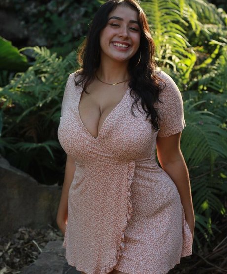 baelib étoile gratuite photo