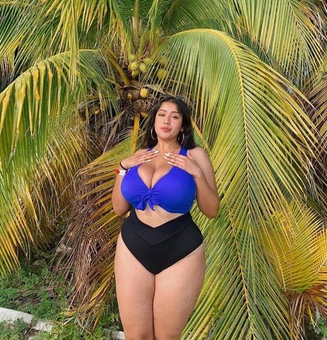 baelib meilleur modèle collection