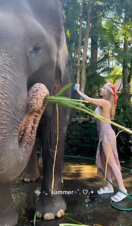 miafitz star du porno de haute qualité des photos