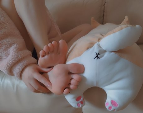 lapkieruni star du porno hd collection