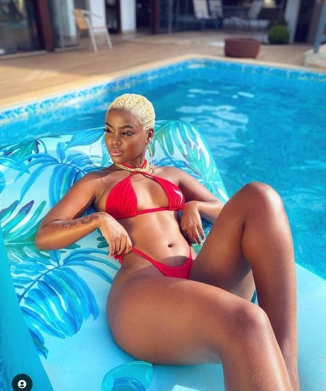 raissa dm modèle parfait archive