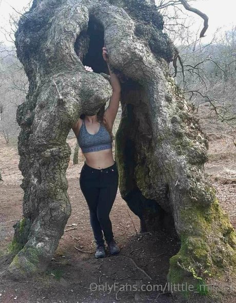 litttle misssy art modèle galerie