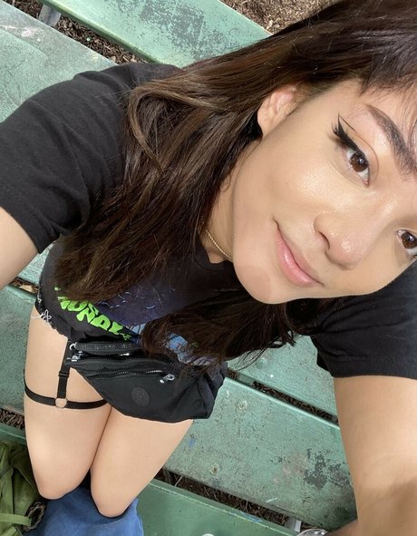 Cinnabrit meilleure étoile img