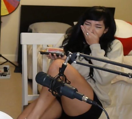 Cinnabrit modèle adulte img