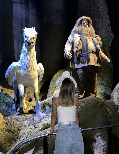 fans sociaux uniquement assez hd collection