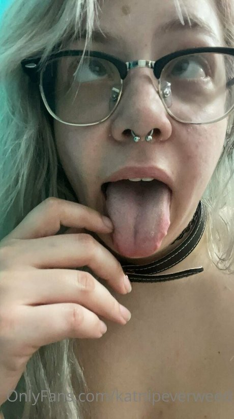 katnipeverweed joli modèle galerie