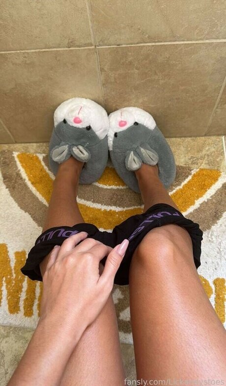 lickandysoles art modèle collection