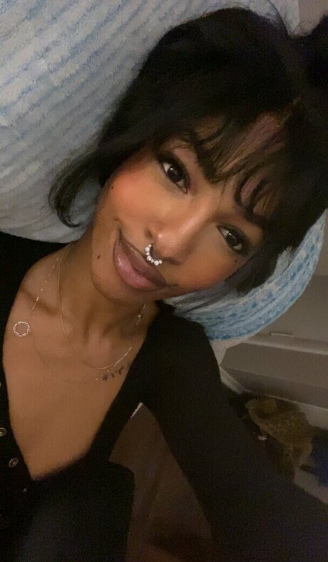 Santokufoeva meilleure étoile galerie