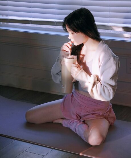 War Hampster étoile adulte archive