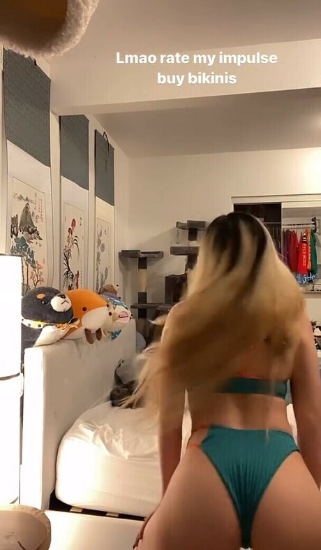 eggtardy étoile sympa img