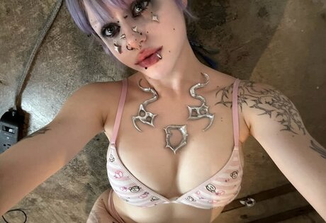 Sophie Meiers haut modèle images