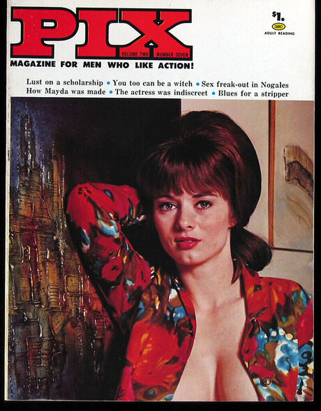 Classic Porn Magazines modèle adulte photo