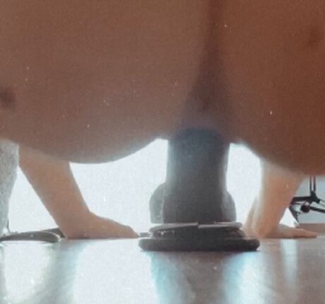 Wille Shauni top star photos