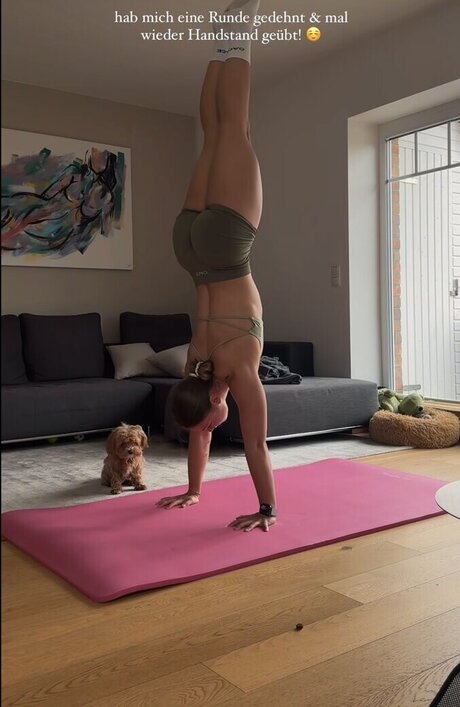 trainingfabi nus de stars du porno images