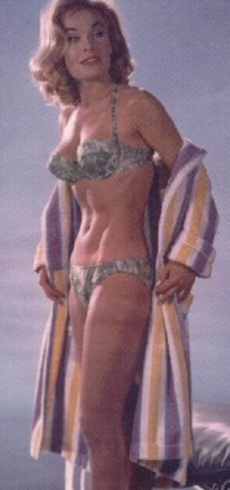 Vintage Sexy Celebs modèle exclusif image