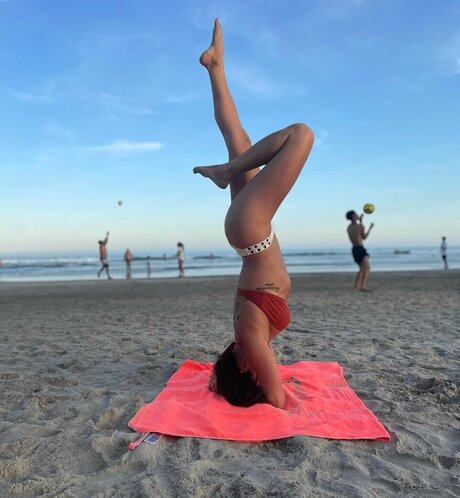 Priscila Sol star du porno de haute qualité photo