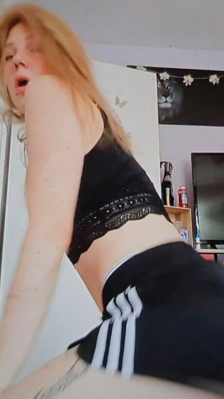 x no interest x mannequin img