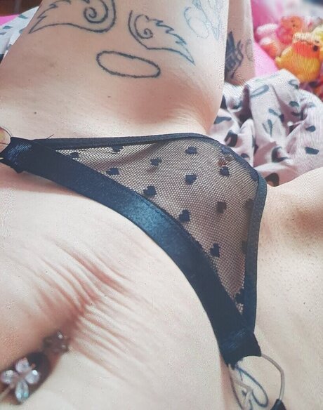 x no interest x star pornographique images