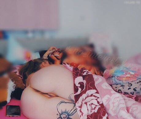 x no interest x étoile hd galerie