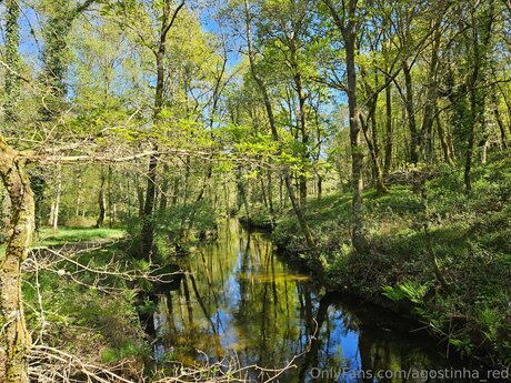 Agostinha Red actrice libre des photos