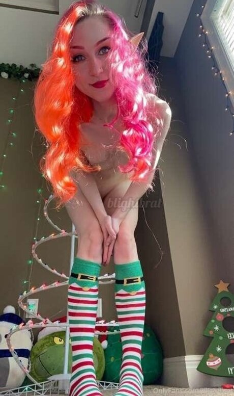 blightbrat Fotoaufnahmen