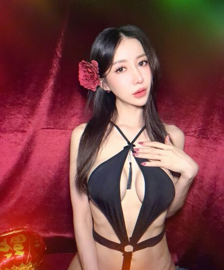 fffrofaizzz star du porno adulte collection