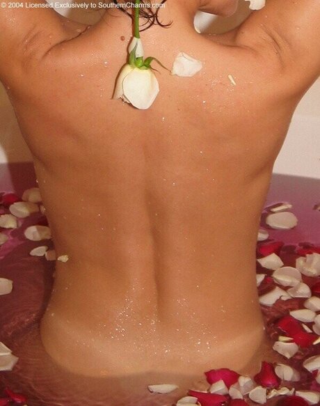 Southern Charms Reese haut étoile galerie