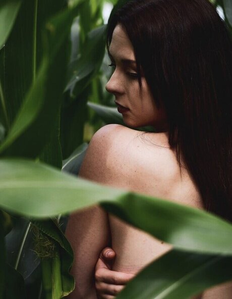 Hnnhofficial nus de stars du porno photos