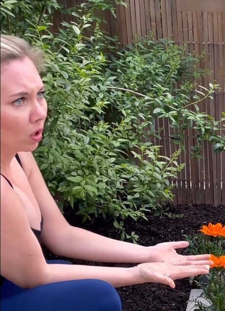 Jessi Faust étoile de haute qualité collection