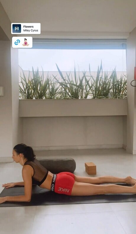 Sheilla Castro étoile nue des photos