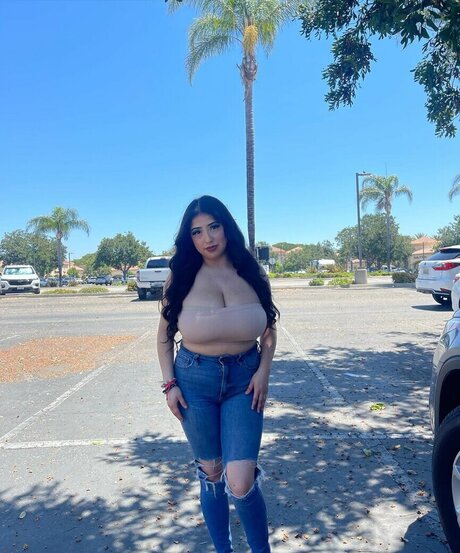 ashleyarambulaa haut de star du porno collection