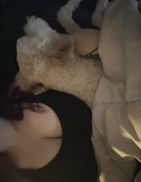 Endra exe star du porno adulte galeries