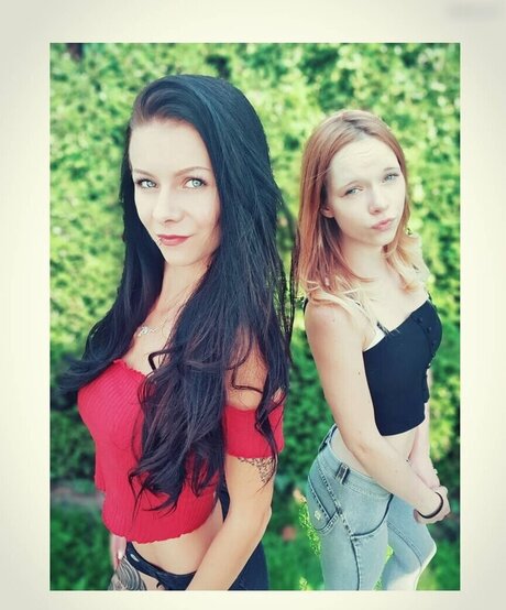 Mausistern étoile de haute qualité photos