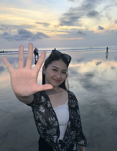 Swansage étoile parfaite images