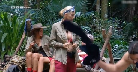 Ich bin ein Star Holt mich hier raus_ mannequin image