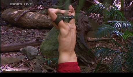 Ich bin ein Star Holt mich hier raus_ étoile hd archive