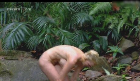 Ich bin ein Star Holt mich hier raus_ étoile gratuite image