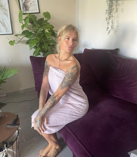 fans de cire uniquement sympa, meilleur image