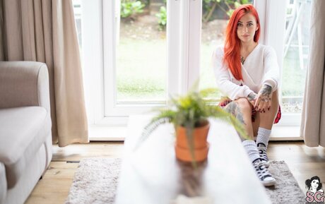 Bombaboom modèle image