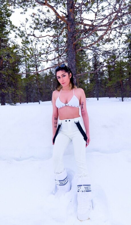 CptPuffy étoile magnifique des photos